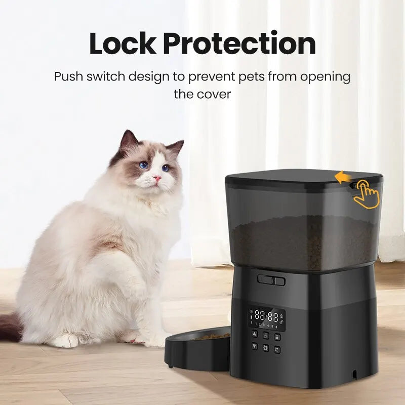 Cat Litter & Automatic feeder