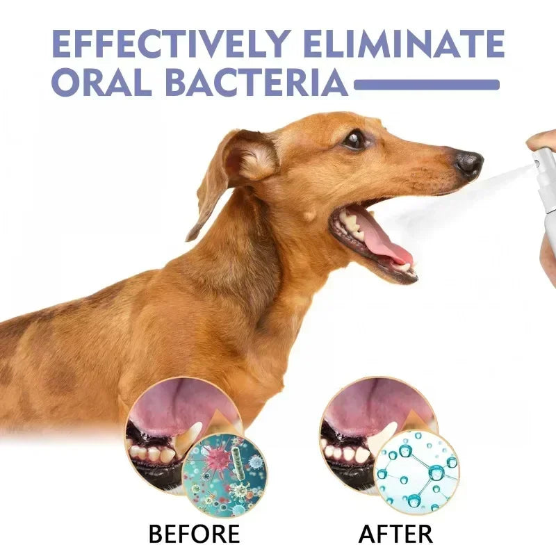 Pet Teeth Cleaning Spray Oral Care