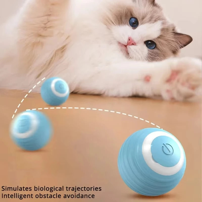 Cat Interactive Ball Training Self-moving