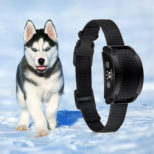 Dog Bark Collar