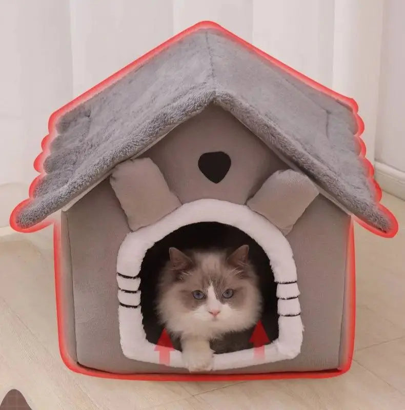 Small Dogs Or Cats House