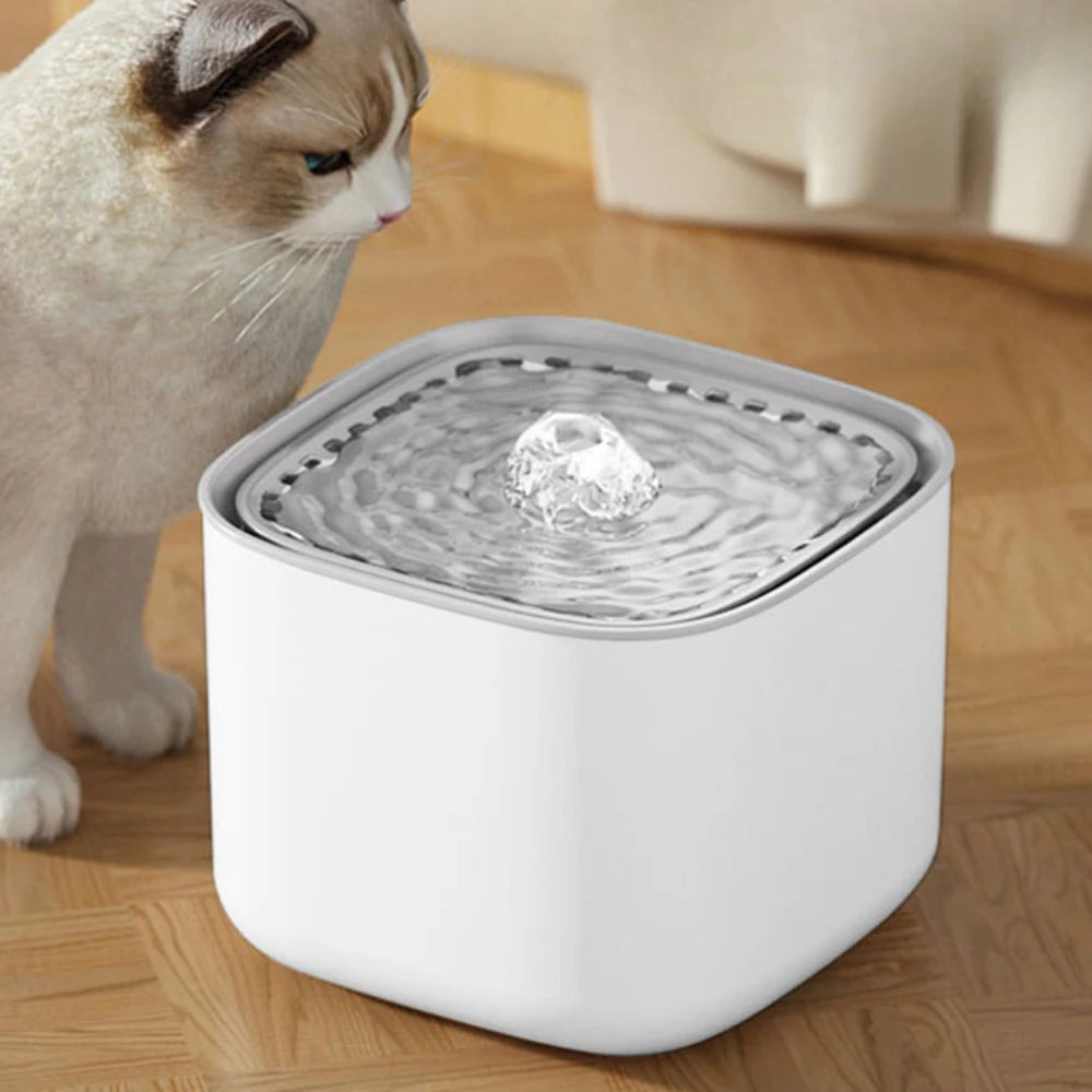 3L Cat Water Fountain Auto Recirculate