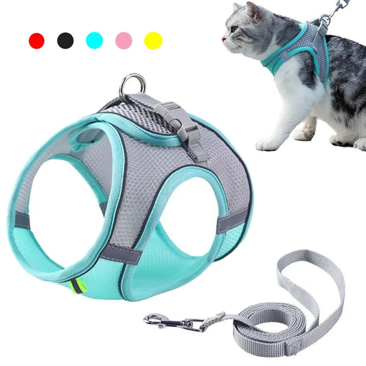 Small Dog Or Cat collar Adjustable